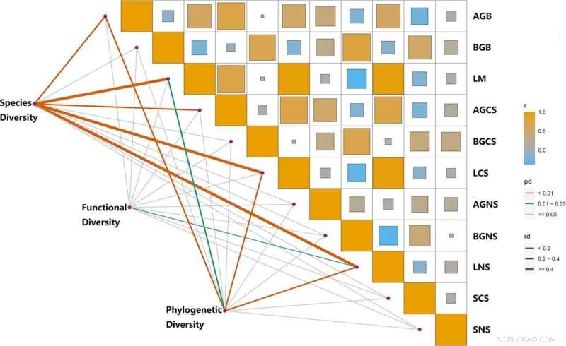 Climate Change Impacts on Desert Steppe Ecosystems: Species Diversity & Functionality