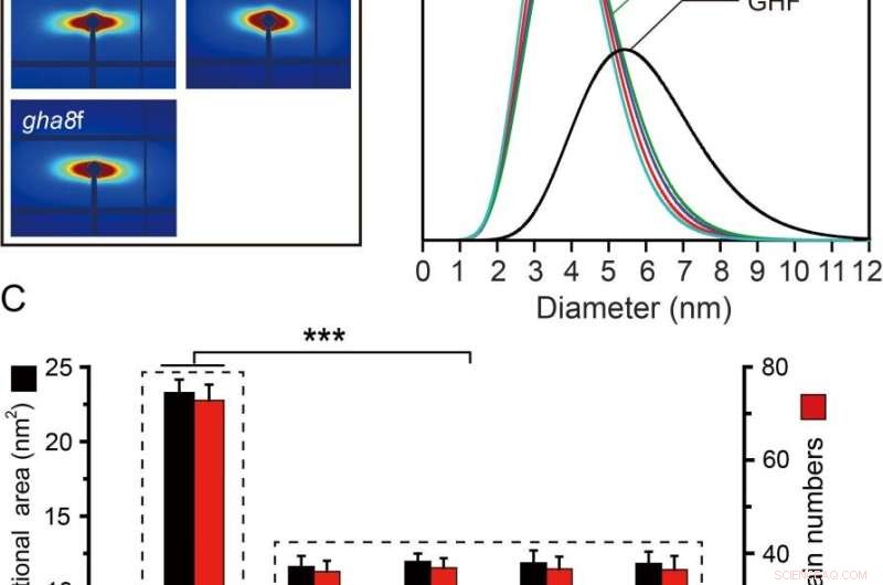 Cellulose Synthase Supercomplex in Cotton Fibers: Impact on Plant Growth and Fiber Development
