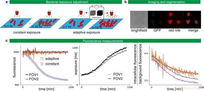 MicroMator: Modular Software for Advanced Reactive Microscopy
