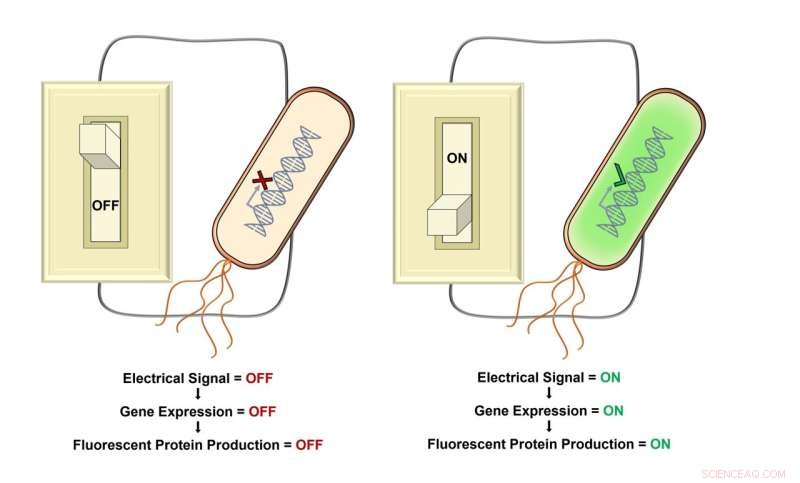 Electronic Gene Control: New Tools for Biomedical & Industrial Applications