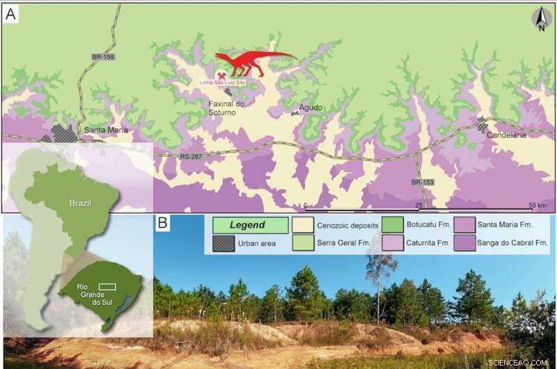 Ancient Brazilian Reptile Discovery: Insights into Early Pterosaur Evolution