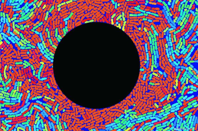 New Technology Shifts Bacterial Community Composition