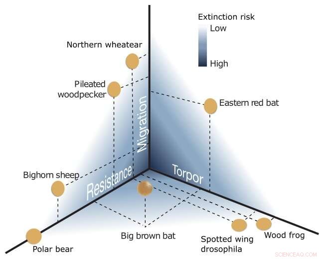 Animal Cold Survival: Migration, Torpor & Cold Resistance - A Spectrum