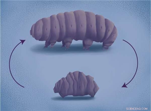 Antarctica s Biodiversity Under Threat: Over 1,100 Species at Risk