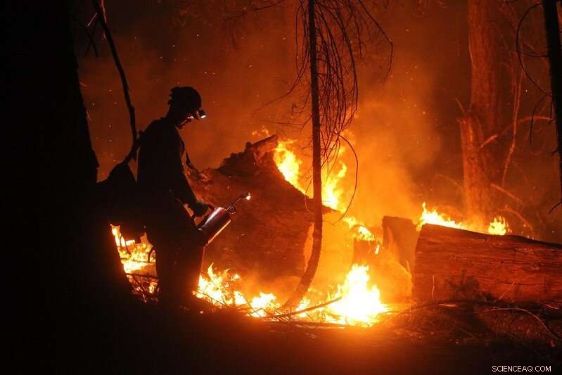 2020 California Wildfires: A Record Year and the Need for Strategic Change