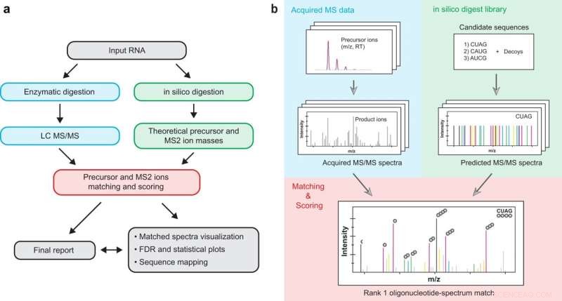 Pytheas: Open-Source Software Accelerates RNA Analysis for Research & Drug Discovery