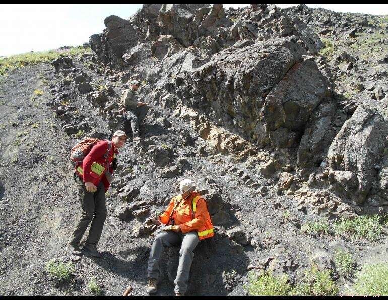 Alaska Dinosaur Distribution Linked to Precipitation Patterns - Paleontological Research