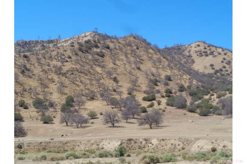 Climate Change & Species Relocation: How Humans Can Help