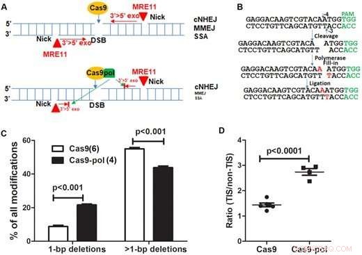 Enhanced Gene Editing: New Method Minimizes DNA Damage