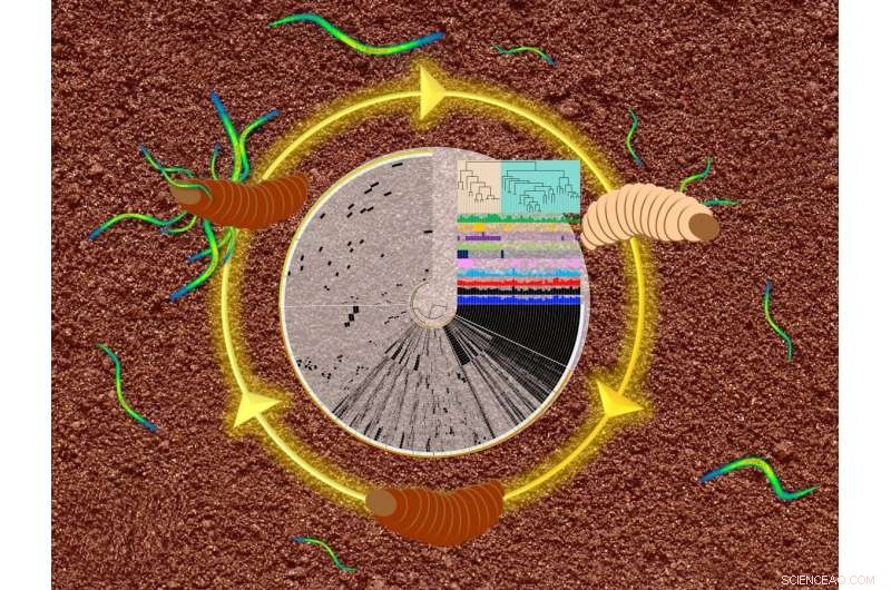 Discovering Insecticidal Compounds in Bacteria: A Genomic Analysis