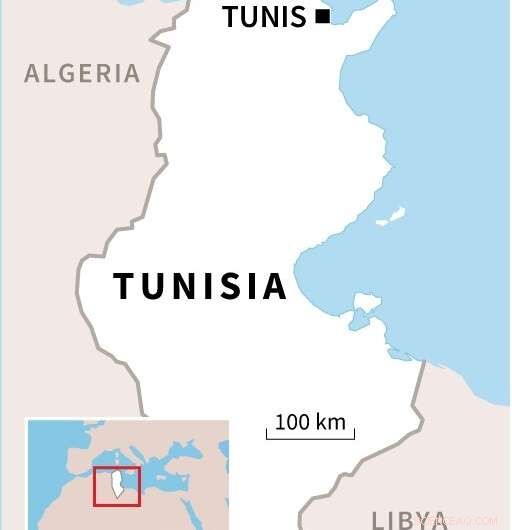 Protecting Mediterranean Seagrass: Vital Habitats & Economic Stability