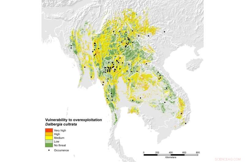 Protecting Asian Rosewood: Threats and Conservation Efforts