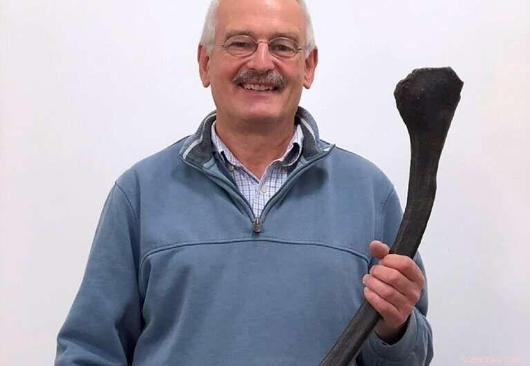 Giant Ichthyosaur Tooth Discovered in Swiss Alps – New Record Size!