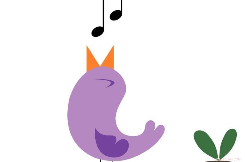 Bird Song Complexity Linked to Population Size: Research Insights