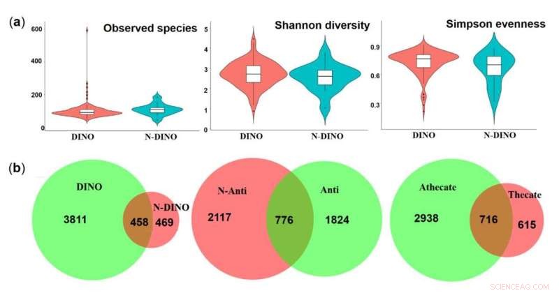 Dinoflagellate-Associated Bacteria: Species Composition & Community Function Analysis