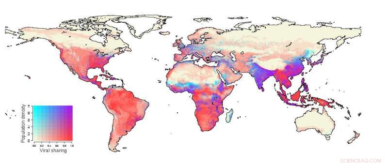 Climate Change & Pandemic Risk: Study Links Warming Temperatures to Increased Viral Transmission