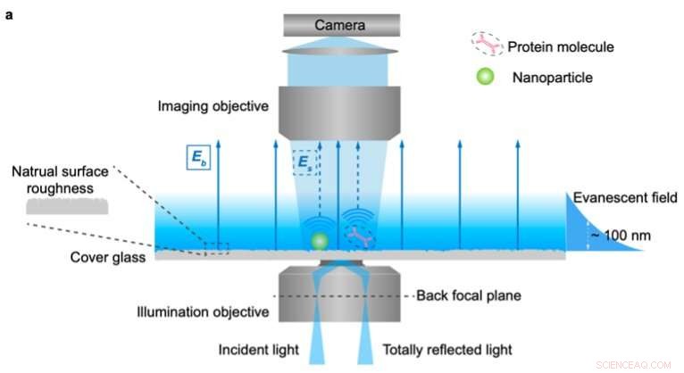 Evanescent Scattering Microscopy for High-Resolution Protein Imaging