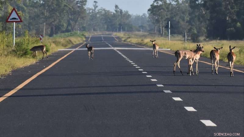 Balancing Development & Conservation: A Data-Driven Guide for Emerging Nations