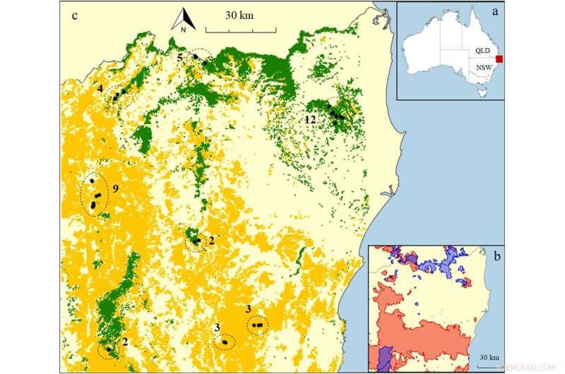 Bushfire Impact on Rainforest Birds: A Post-Fire Assessment
