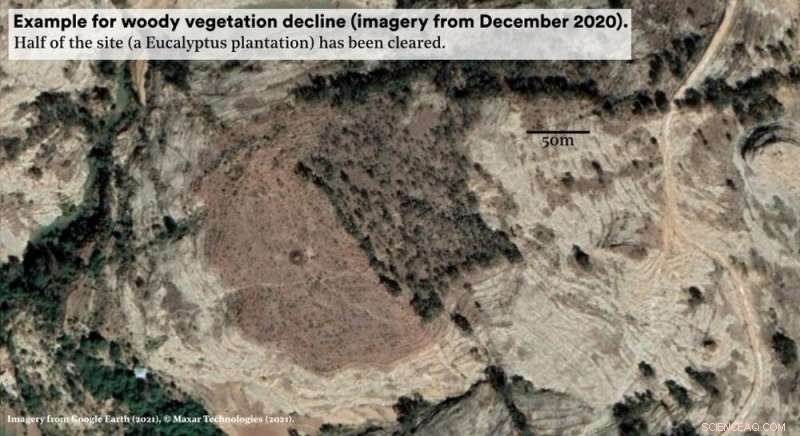 Ethiopia s Tigray War: Environmental Regression After Decades of Greening