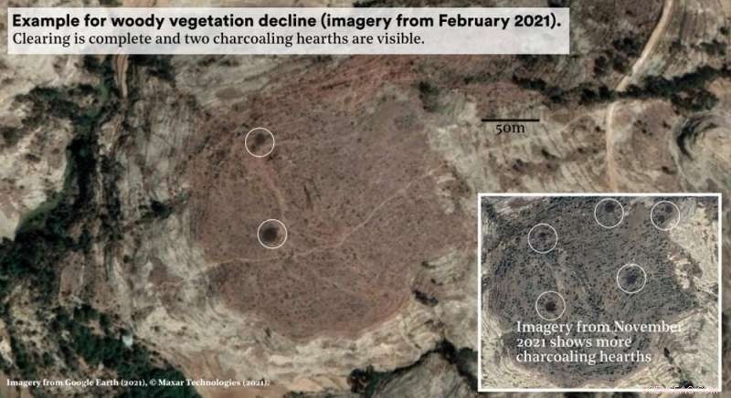 Ethiopia s Tigray War: Environmental Regression After Decades of Greening