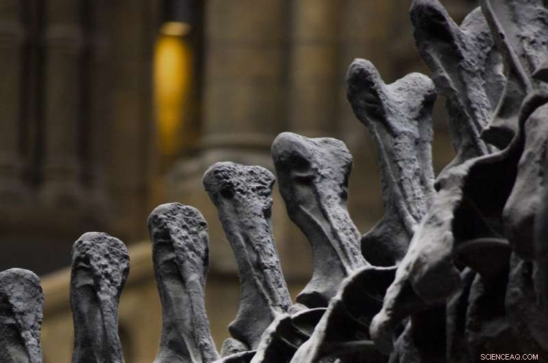 Dinosaur Extinction: New Evidence Reveals Final Days on Earth | Paleontology Expert