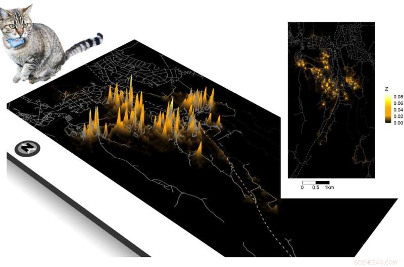 Cat Behavior: Study Reveals Typical Roaming Distance of Domestic Cats