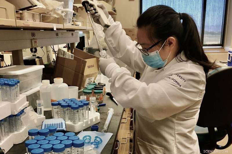 Microplastics: A Pathway for Pathogen Transport to the Ocean