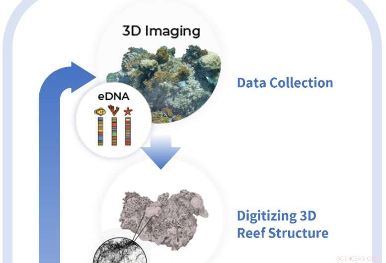 3D Printing for Coral Reef Restoration: A Novel Approach