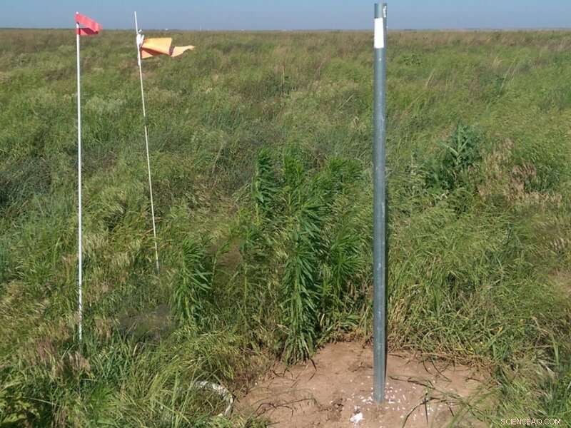 Climate Impacts of Grazing Agriculture: A Research Overview