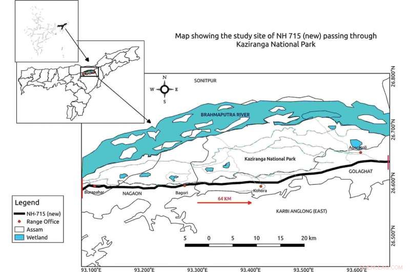 NH 715 Highway Study: Impact on Indian Reptiles & Amphibians