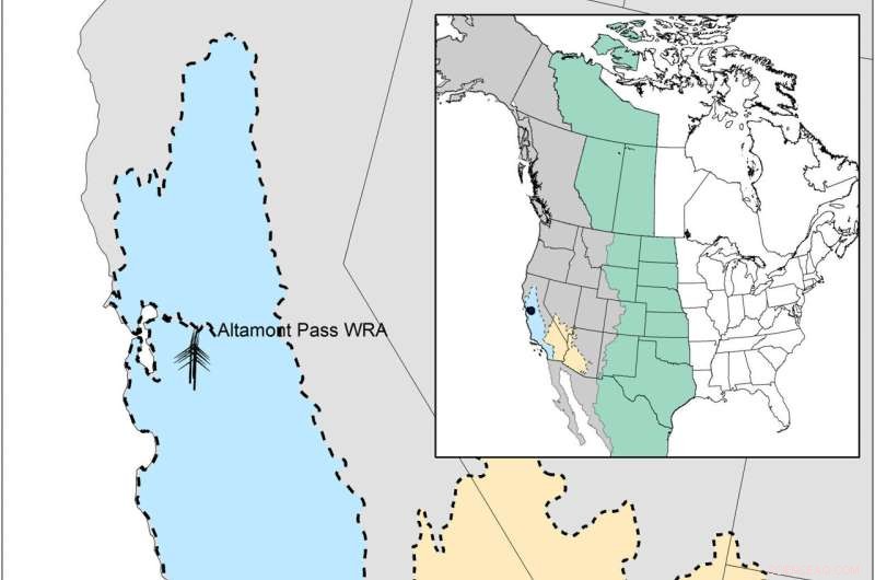 Renewable Energy Impacts on California Bird Populations: A Research Overview