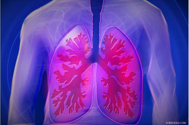 Drug-Resistant Mold Spreading from Environment to People s Lungs - Imperial College London Study