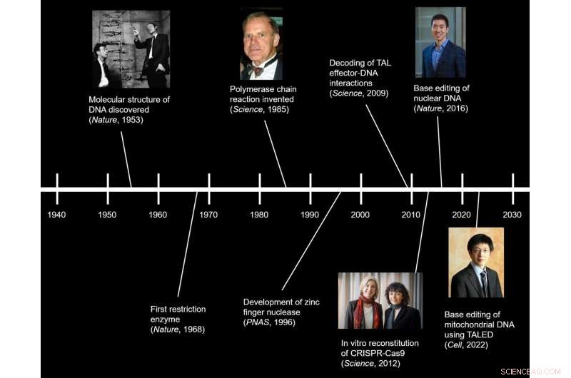 TALED: Pioneering Mitochondrial Genome Editing for Therapeutic Advances