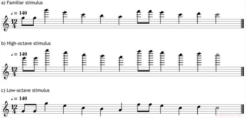 Understanding Musical Perception: How Our Brains Process Sound and Pitch