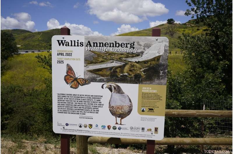 California s Wallis Annenberg Wildlife Crossing: A Landmark for Conservation