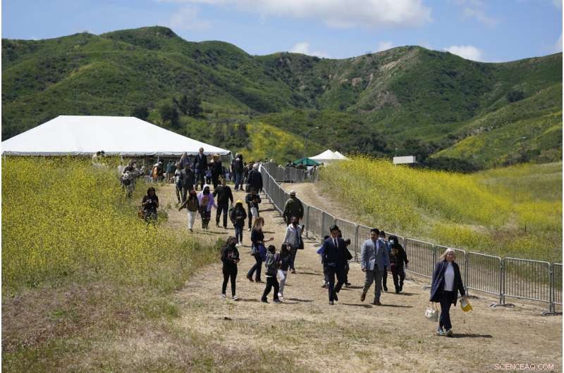 California s Wallis Annenberg Wildlife Crossing: A Landmark for Conservation
