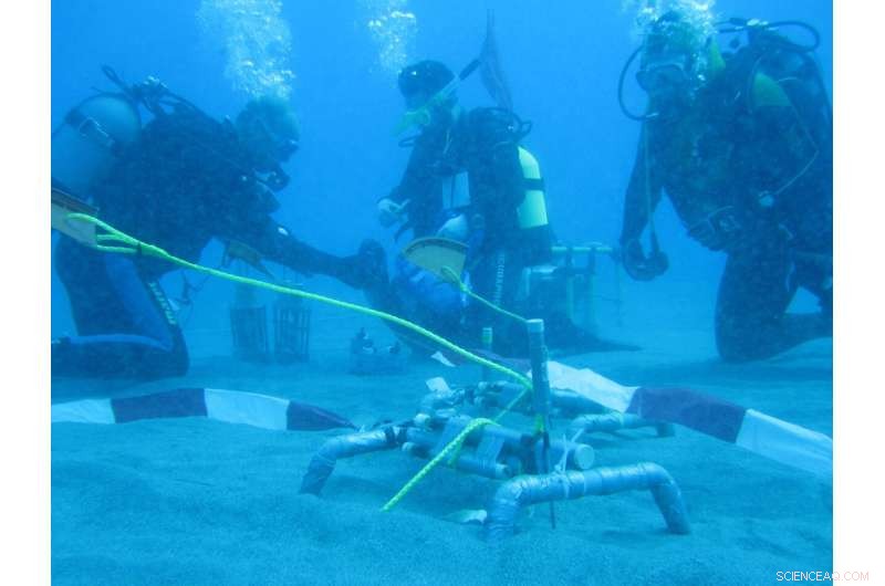 Hydrothermal Vent Microbes: Fluid Flow Fuels Chemosynthesis in Deep-Sea Ecosystems