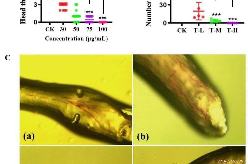 Natural Compound 2-Furoic Acid Shows Promise Against Plant Parasites