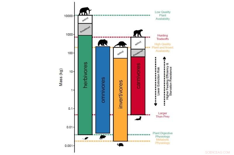 Human Impact on Ecosystems: Disrupting 66 Million-Year-Old Patterns