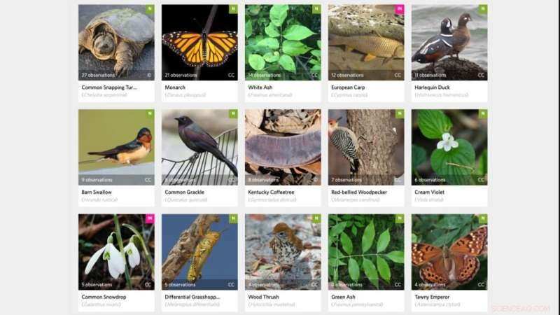 Western University Biodiversity Project: Citizen Science Initiative