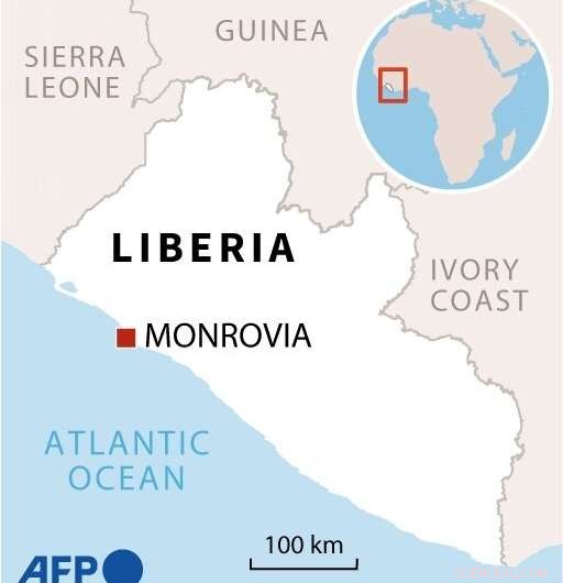 Liberia Chimpanzees Find Sanctuary After Lab Research