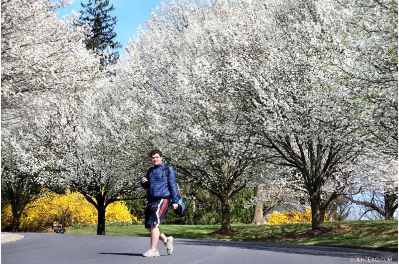 Callery Pear Invasion: Understanding the Invasive Threat
