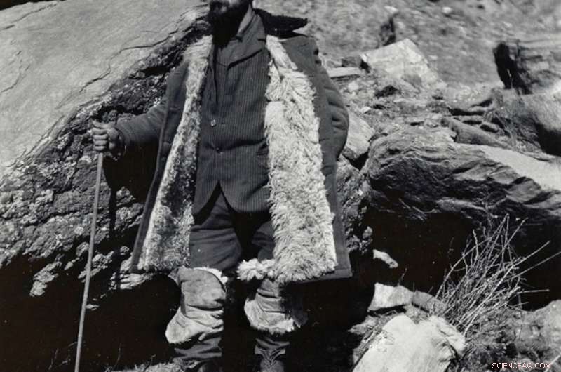 Callery Pear Invasion: Understanding the Invasive Threat