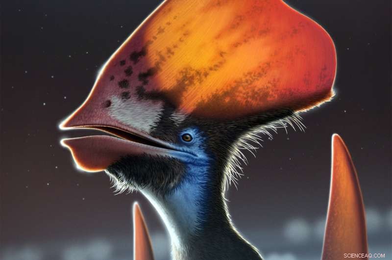 Feather Color in Pterosaurs: New Discovery Sheds Light on Ancient Evolution