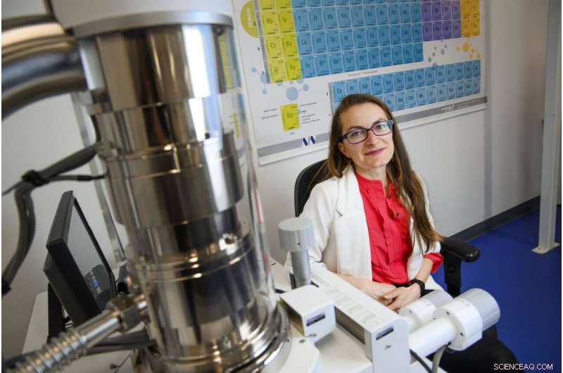 Feather Color in Pterosaurs: New Discovery Sheds Light on Ancient Evolution