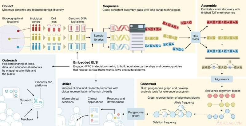 Mapping Global Genomic Diversity: A Comprehensive Overview