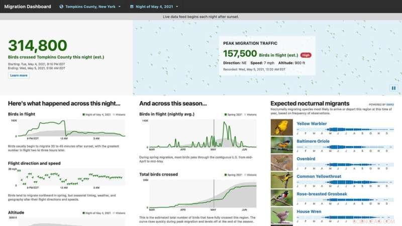 Cornell Lab s Migration Dashboard: Tracking Billions of Bird Movements