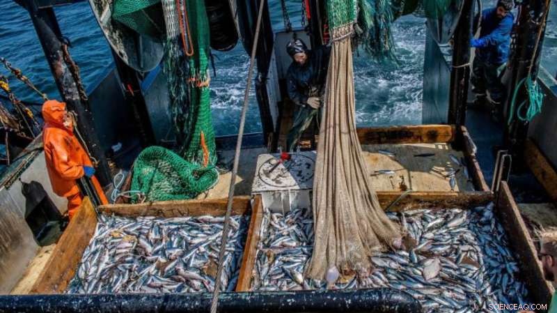 NOAA s New Mapping Tool Tracks Marine Species Distribution