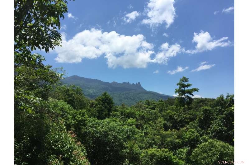 Impact of Human Activity on Tropical Bird Populations in Hainan